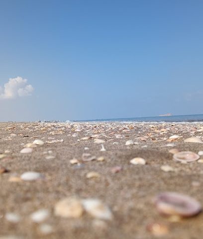 كورنيش بركاء - بركاء -