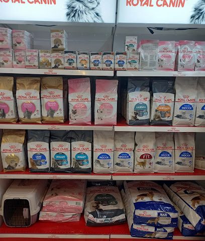 مخلوقات مملكة المخلوقات لبيع الحيونات الاليفة و مستلزماتها - مسقط - +968 24 563721