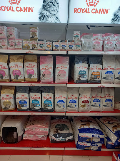 مخلوقات مملكة المخلوقات لبيع الحيونات الاليفة و مستلزماتها - Oman|Muscat