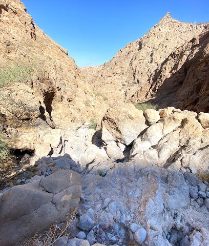 وادي حمام - فلج الشام -