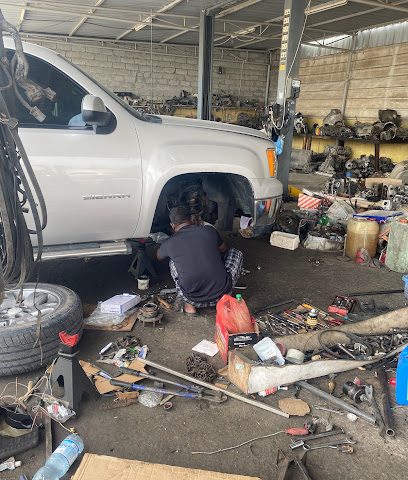 سكفريد - ليوا - +968 9055 1538