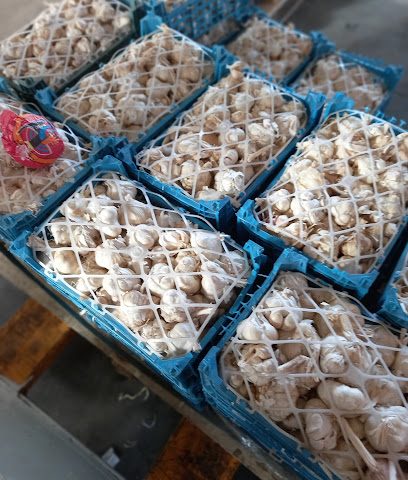 سهول فيحاء سهول فواكه وخضروات - السيب - +968 9936 5538