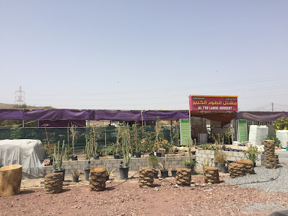 حضانة العود - طريق إزكي - سناو ، - +968 9547 7693