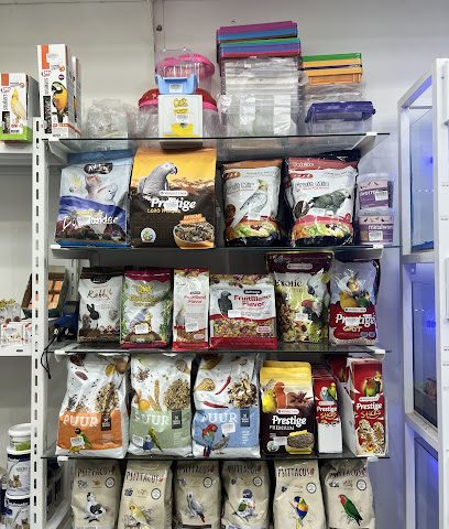 الطيور الذكيه - السيب - +968 9911 9435