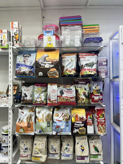 الطيور الذكيه - Oman|Seeb 111|3357 Way