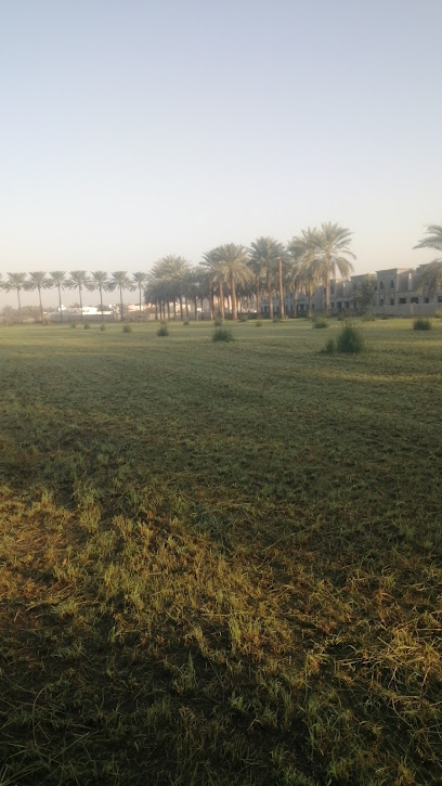 مزرعة علي بن عبدالله الشبلي - Oman|ولاية صحار،|8Q29+H7