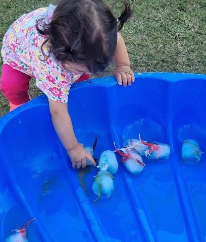 حضانة ويلوبروك مسقط - مسقط - +968 9297 1611