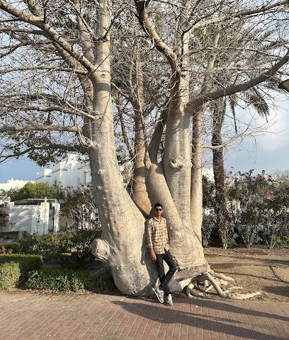 الشاطىء - مسقط -