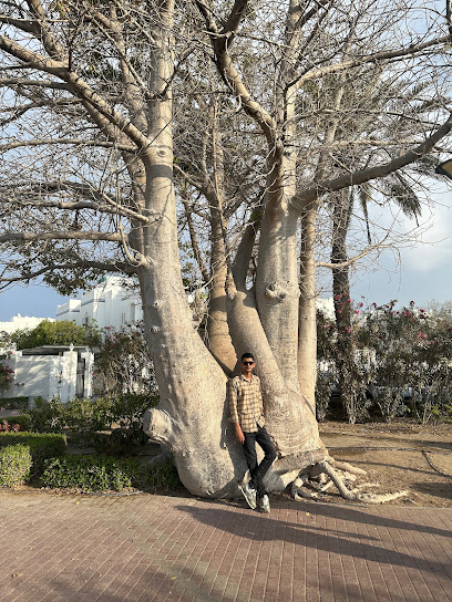 الشاطىء - Oman|Muscat|JC6X+PV