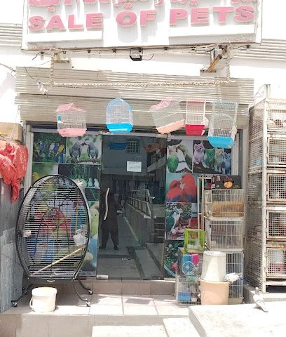 محل الحيوانات الأليفة - السيب -