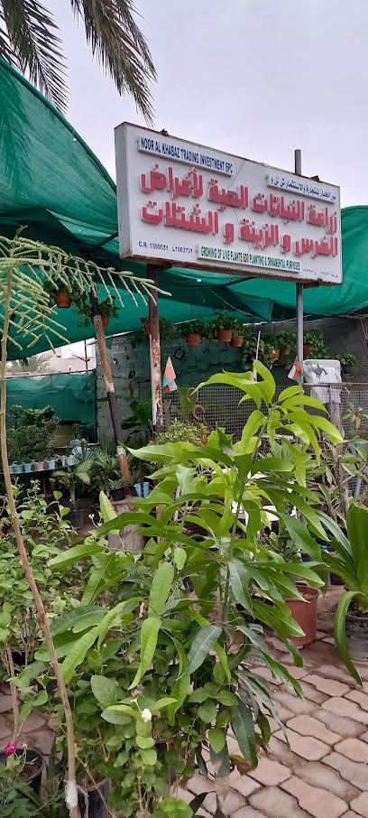 نور الخباز التجاره والاستثمار - Oman|السيب‎،|M57W+5WG