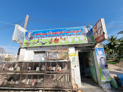 مؤسسة ملكة المدينة العربية للتجارة والمقاولات - صلالة - +968 9135 9154