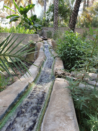 فلج الجانب الشرقي - Oman|Fanja|Unnamed Road