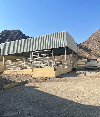 مسلخ بلدية سمائل - سمائل -