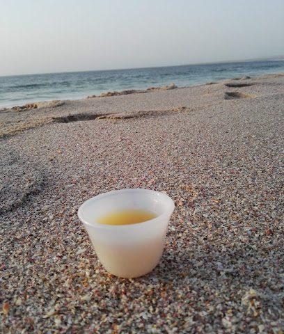 رأس الهود للصرافة - الحد - +968 24 241999