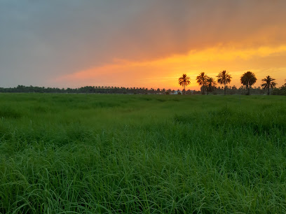 ملعب فريق الشبيبة الرياضي الثقافي الاجتماعي - تاوي بيدي جيش - +968 9941 0347