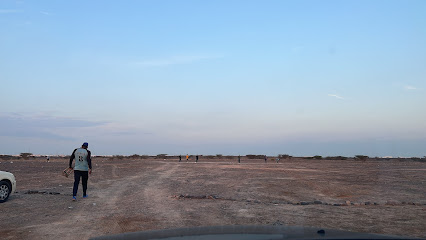 V11 الأرض - السيب -