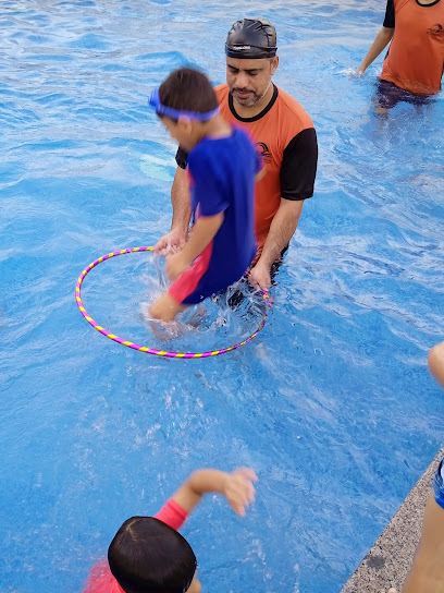 مدرسة الموج للسباحة / فروعنا: الخوض- بركاء- المصنعة- وادي المعاول - Oman|Barka|حي عاصم