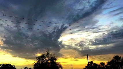 مدرسة زهور عمان للتعليم الأساسي الصفوف (1-4) - بركاء -