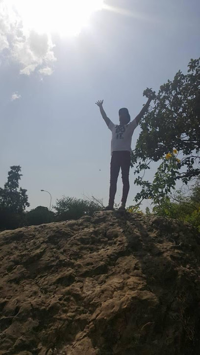 رحلة صلالة النهارية - Oman|Salalah 210|Al Mazari Street|2477+PM5