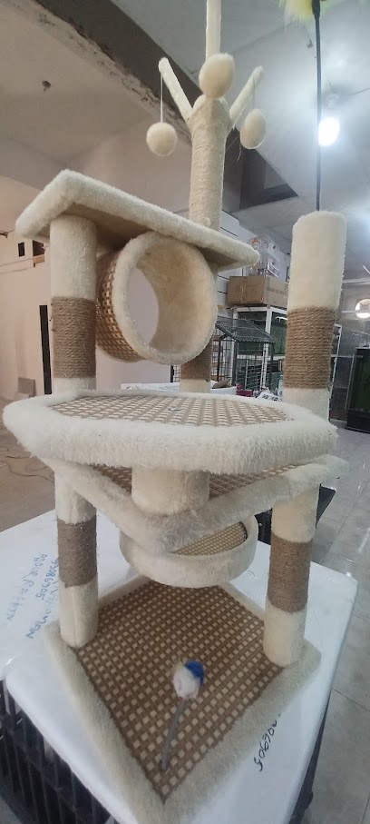 محل الحيوانات الأليفة - Oman|Salalah|As Salam St|2474+V92