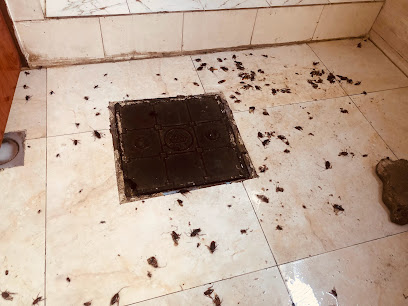 شركة الخدمات العربية الحديثة لمكافحة الآفات - مسقط - 91977842 - مسقط - +968 9197 7842