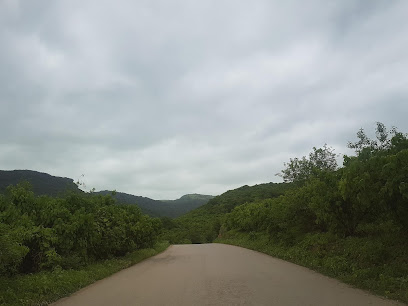 بيتزا الفخره - صلالة - +968 9827 3542