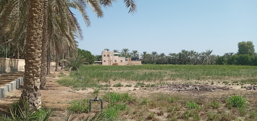 حديقة رزق وبقية للايجار - المصنعة - +968 9029 9575