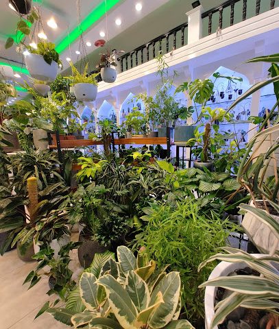 Green Home البيت الأخضر - مركز البهجة - السيب - +968 9777 2502