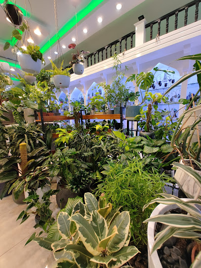 Green Home البيت الأخضر - مركز البهجة - Oman|Seeb|Markaz Al bahja