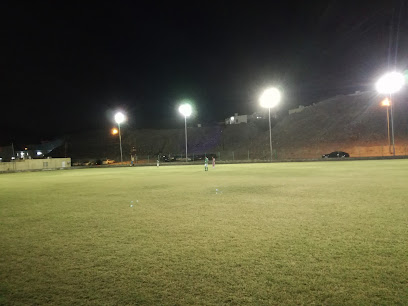 ملعب الاتحاد لكرة القدم - فانجا -