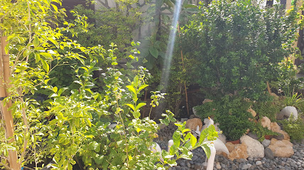 فور سيزون سبا المعبيلة - السيب - +968 9065 4222