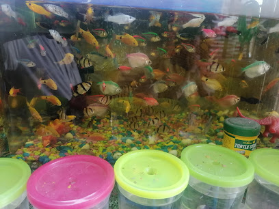 محلات بيع الحيوانات الأليفة ومستلزماتها بالتجزئة - العامرات -