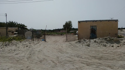 مزرعة دواجن سوهاج جلان بوعلي - جعلان بني بوعلي - +968 9044 2761