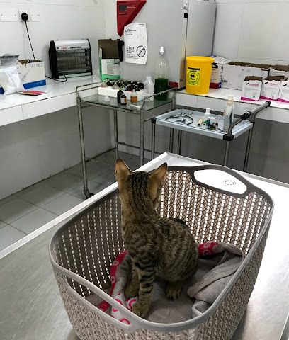 عيادة السيب البيطرية - الخوض -