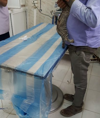 العيادة البيطرية بولاية البريمي - ادارة الزراعة والثروة معًا - البريمي - +971 9 664 4079