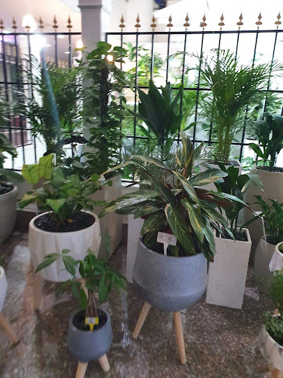 البيت الأخضر القرم - Oman|Muscat|JF7W+72W