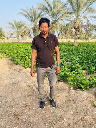 عالم التميز العالمي ش - Oman|Seeb|AlMawalah Central Market