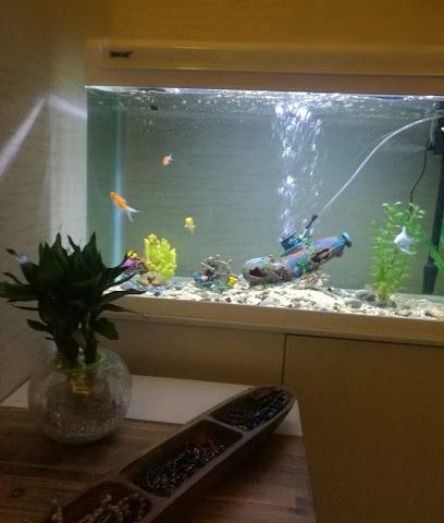 مركز الفصول الأربعة - البريمي -