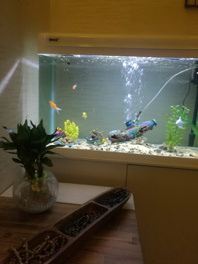 مركز الفصول الأربعة - Oman|Al Buraimi|7Q5G+H3M