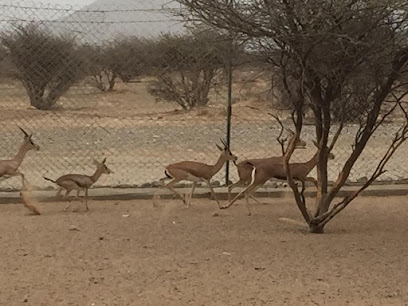 منتزه الصليل الوطني - طاوة - +968 9801 8602