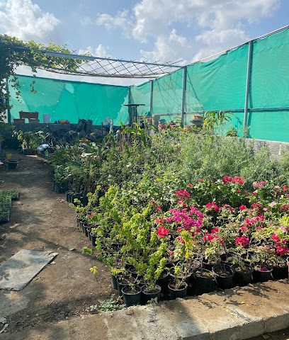 مشتل البيدار - السيب - +968 9717 1971