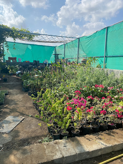 مشتل البيدار - Oman|Seeb|M4JV+QC9