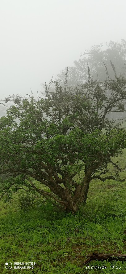 مركز شرطة غدو - Oman|Hayawt|4XGW+757