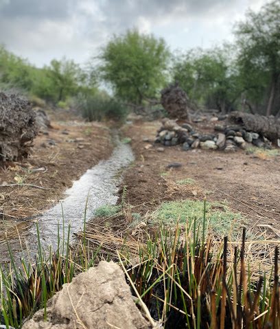 ولي الاثري - سهل -