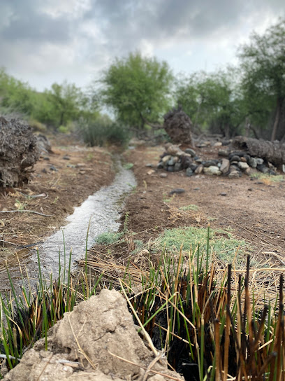 ولي الاثري - Oman|Sahlat|Unnamed Road|8GM7+XJV