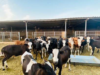 مزارع دواجن الرسيس - ازكي / الرسيس - +968 9731 3673