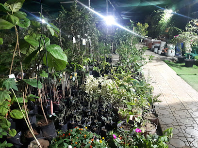 مشتل حدائق صحار - صحار -