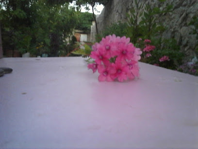 مركز دار الإتقان - لزغ ، -