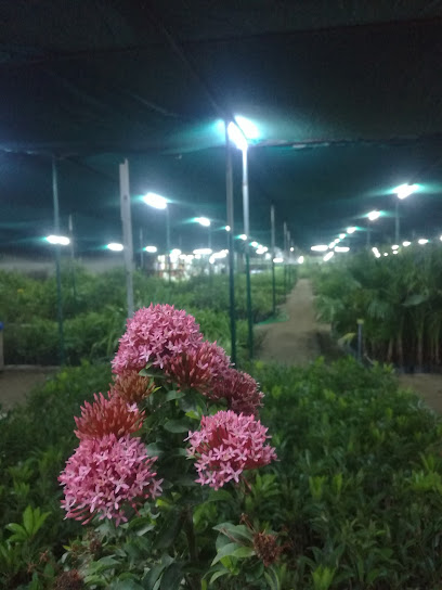 حضانة المروج الخضراء - Oman|Seeb|M56X+RJ5